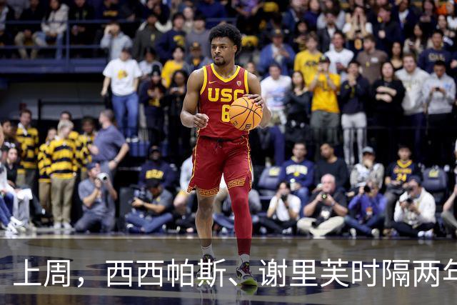 上周，西西帕斯、谢里芙时隔两年再夺冠，其他夺冠选手皆迎突破